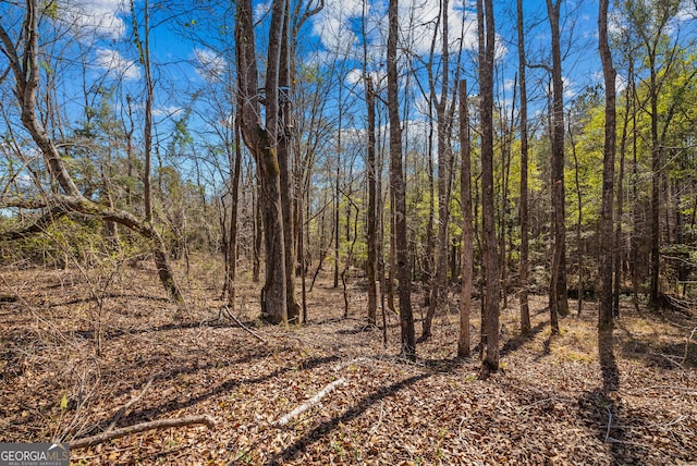 view of local wilderness with a view of trees