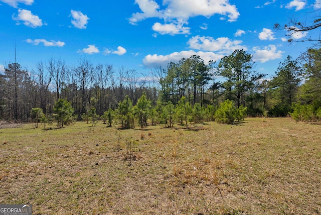 view of local wilderness with a forest view