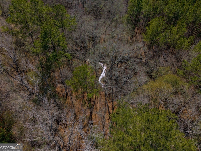 bird's eye view with a forest view