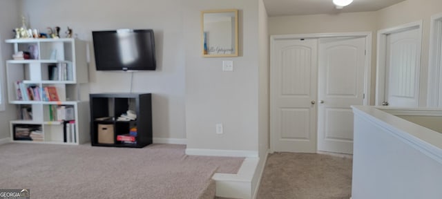 interior space featuring baseboards and carpet floors