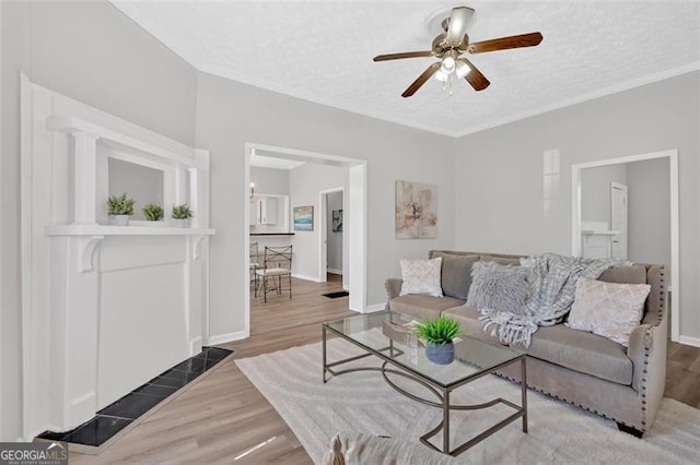 living area featuring baseboards, a textured ceiling, wood finished floors, and ornamental molding