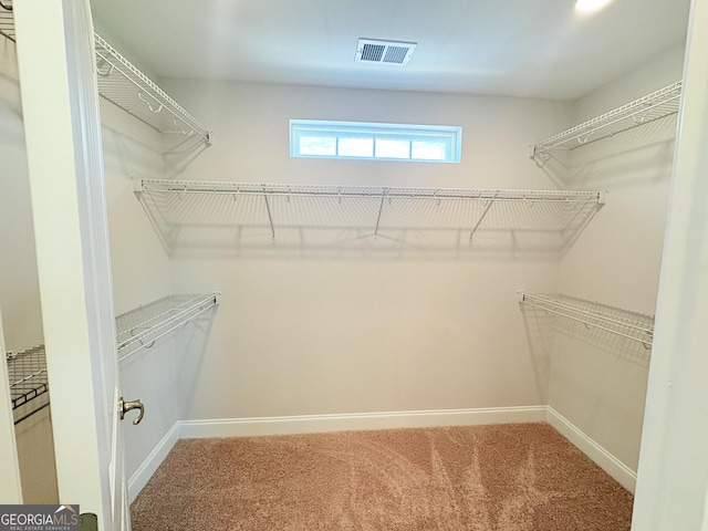 walk in closet featuring visible vents and carpet flooring