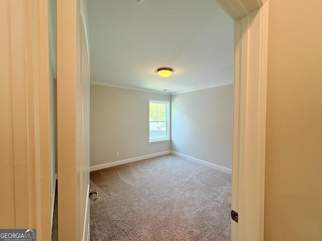 empty room with baseboards, carpet floors, and crown molding