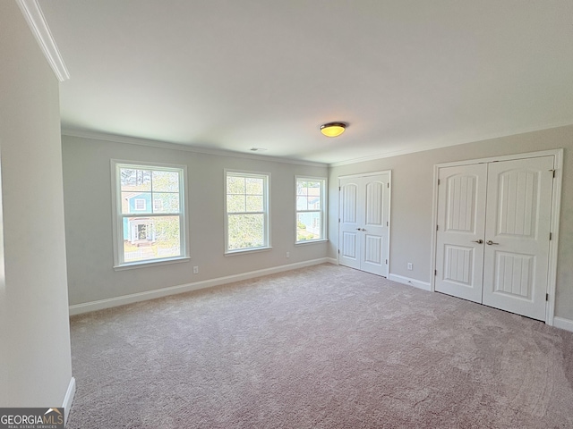 unfurnished bedroom with multiple closets, carpet floors, and ornamental molding