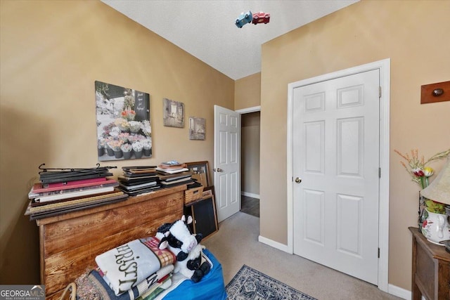 office area featuring baseboards and carpet flooring