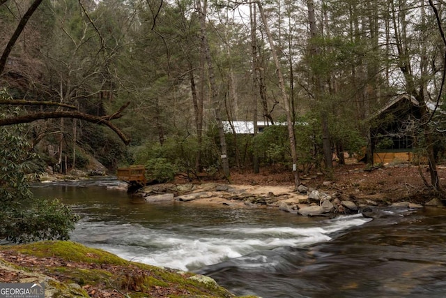 water view with a forest view