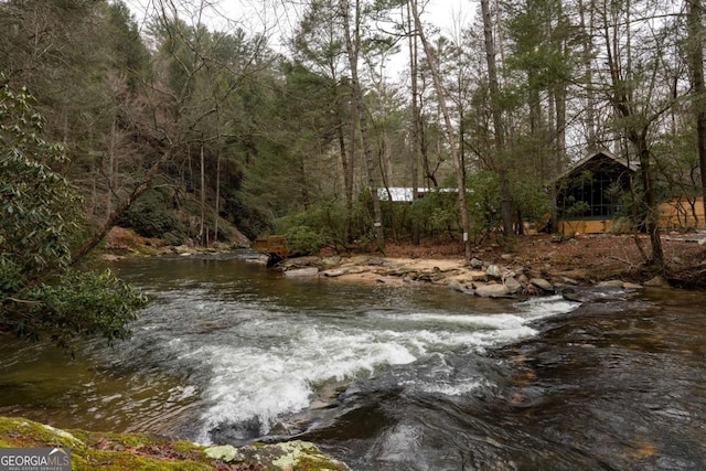 view of water feature with a wooded view