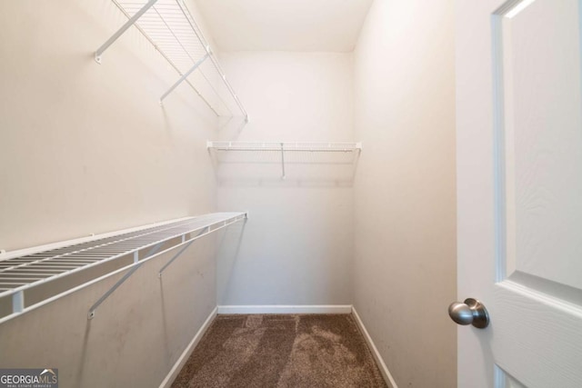 walk in closet with dark carpet