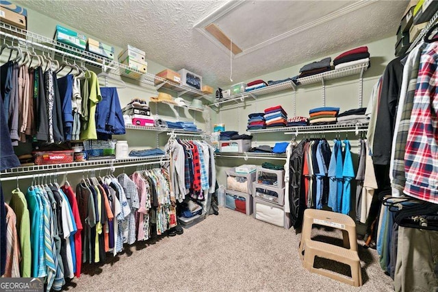 walk in closet with carpet floors