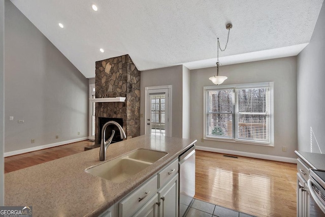 kitchen with a stone fireplace, light wood-style flooring, appliances with stainless steel finishes, and a sink