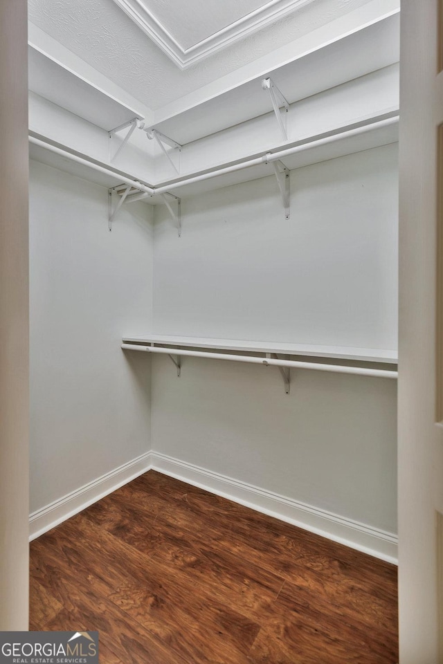 walk in closet featuring wood finished floors