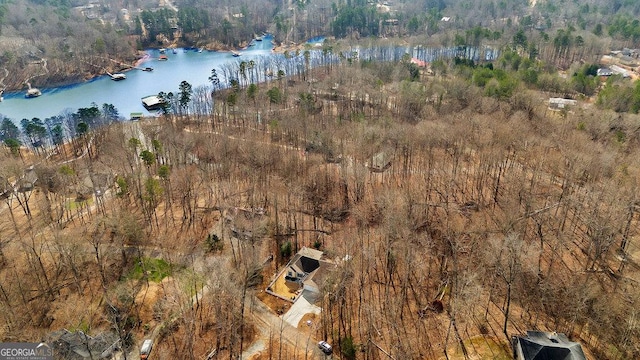 bird's eye view with a water view and a view of trees