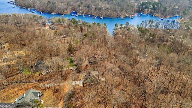 bird's eye view with a wooded view and a water view