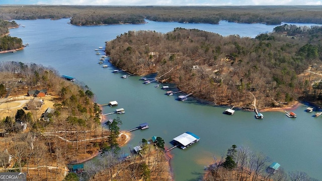 bird's eye view with a forest view and a water view