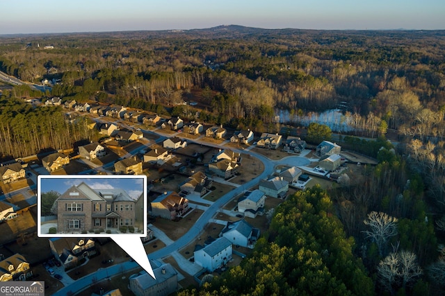 aerial view with a view of trees and a residential view