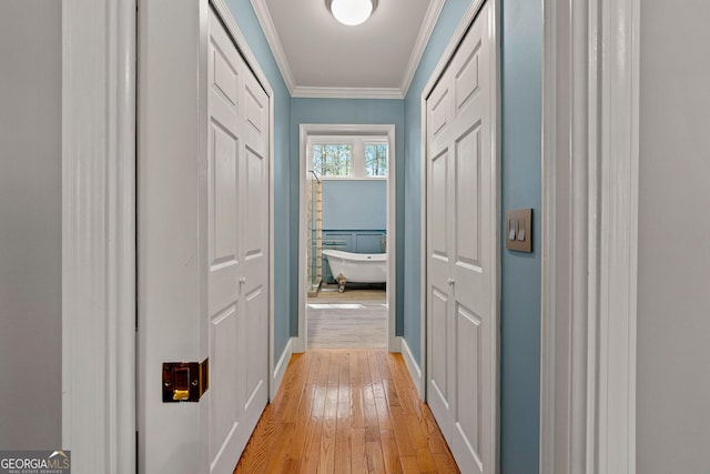 hallway with light wood-type flooring and ornamental molding