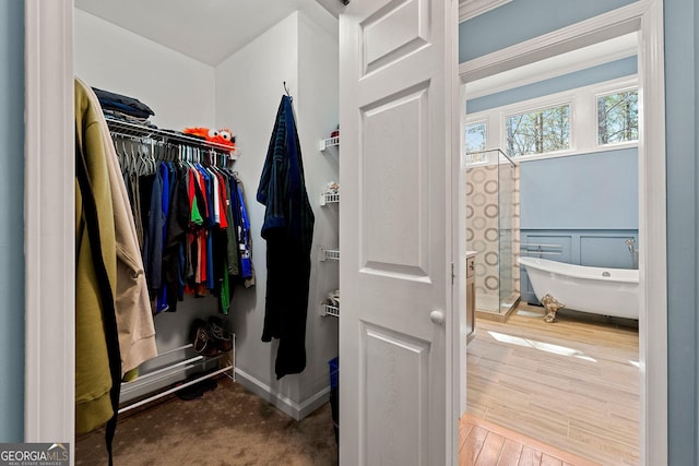 walk in closet with wood finished floors