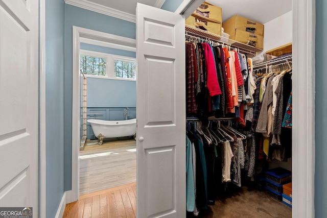 spacious closet featuring wood finished floors