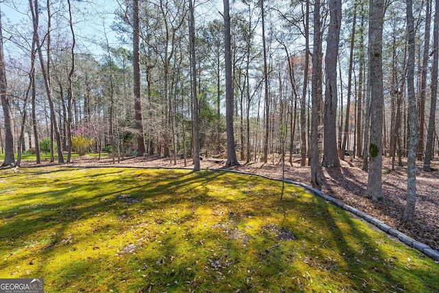 view of yard featuring a view of trees