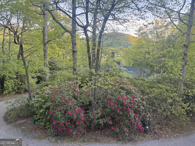 63 Mashie Ln, Sky Valley, GA 30537 - view of yard featuring a view of trees and a mountain view