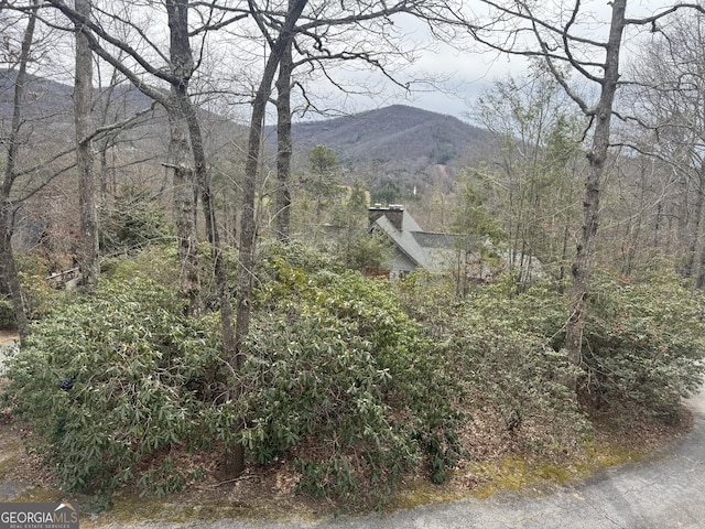 property view of mountains with a view of trees