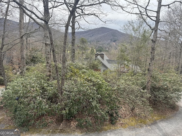 63 Mashie Ln, Sky Valley, GA 30537 - mountain view