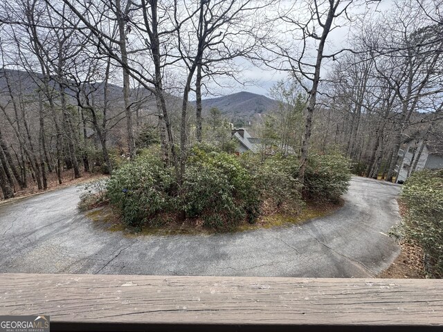 63 Mashie Ln, Sky Valley, GA 30537 - view of mountain background