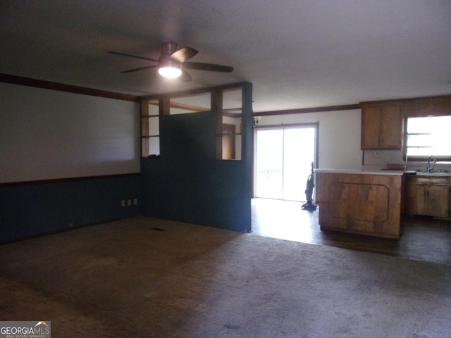 spare room with dark carpet, ornamental molding, a ceiling fan, and a sink