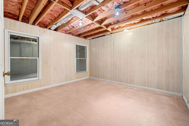 unfinished below grade area featuring carpet floors