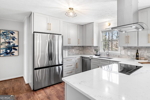 kitchen with a sink, backsplash, wood finished floors, appliances with stainless steel finishes, and extractor fan