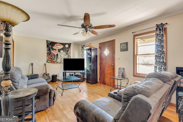 living area featuring wood finished floors, a ceiling fan, and crown molding