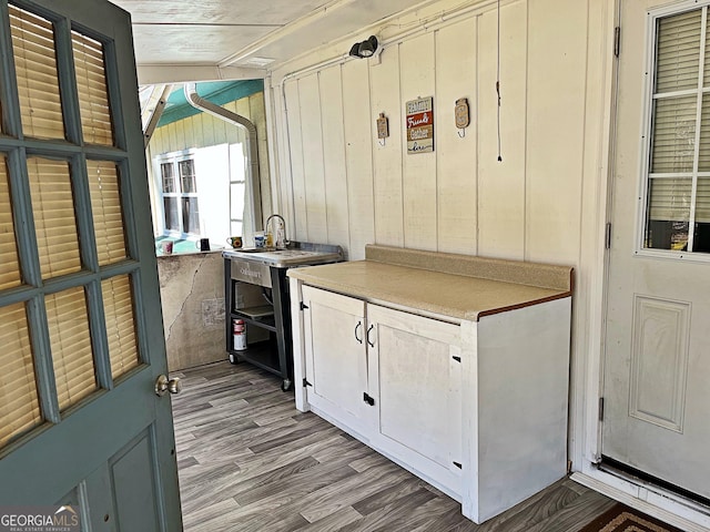 interior space featuring a sink, wooden walls, and wood finished floors