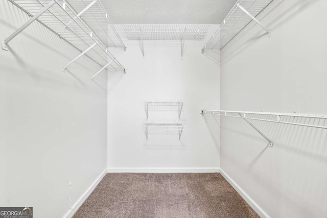 spacious closet featuring carpet floors