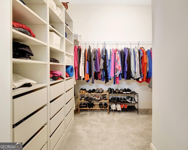 spacious closet with carpet