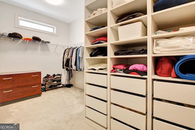 spacious closet featuring light carpet