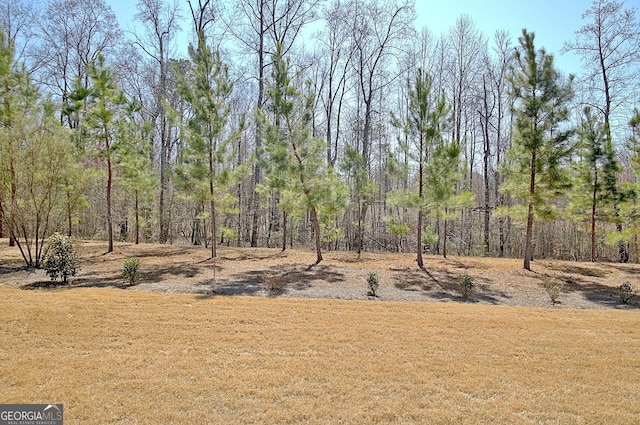 view of local wilderness