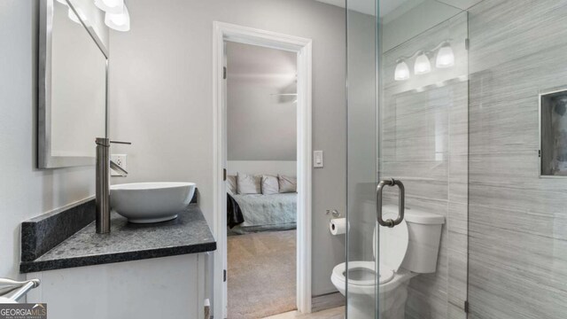 ensuite bathroom with connected bathroom, toilet, and vanity