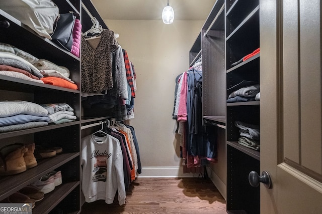 walk in closet featuring wood finished floors