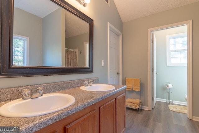 bathroom featuring double vanity, wood finished floors, a textured ceiling, and a sink