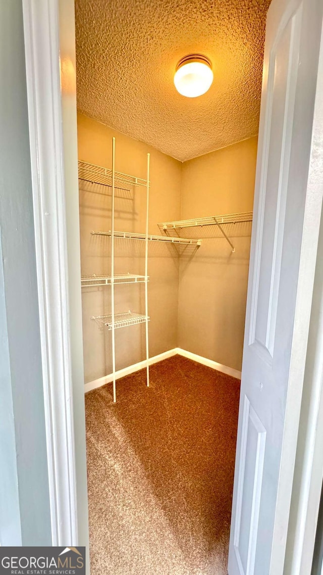 spacious closet featuring carpet floors