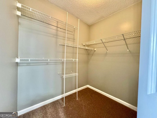 walk in closet with carpet floors