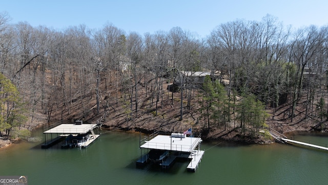 view of dock featuring boat lift and a water view