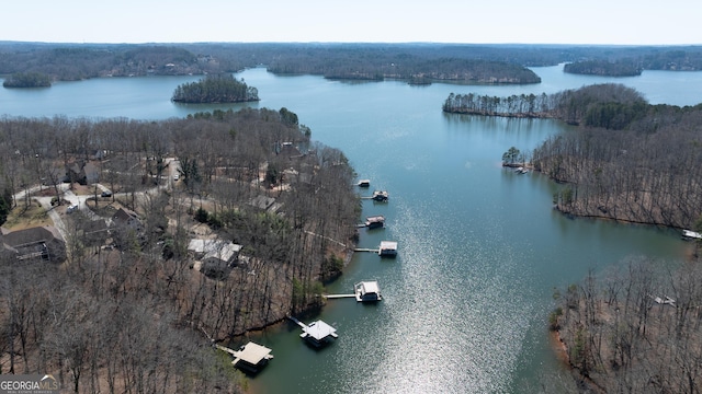 bird's eye view featuring a wooded view and a water view