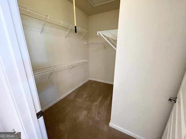 walk in closet featuring carpet flooring