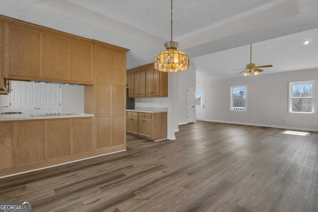 kitchen with ceiling fan, baseboards, dark wood-style floors, and light countertops