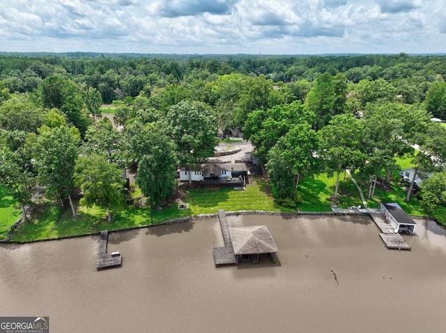 birds eye view of property featuring a water view and a forest view