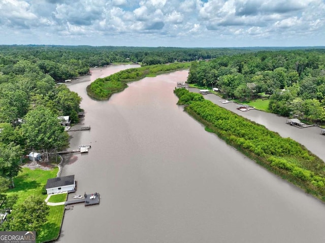 bird's eye view featuring a water view and a view of trees