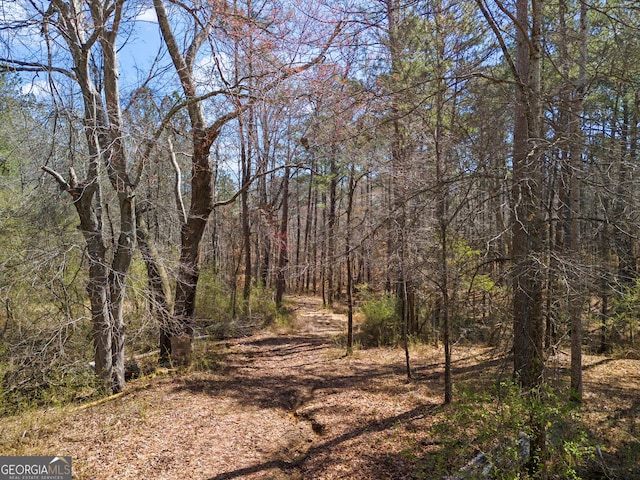 view of nature with a forest view