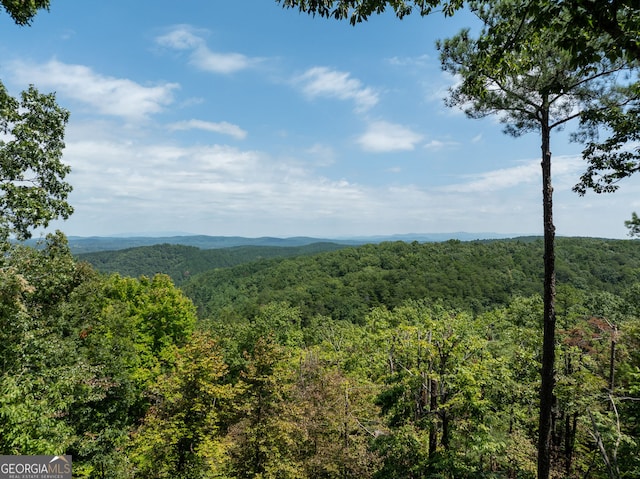 property view of mountains featuring a forest view