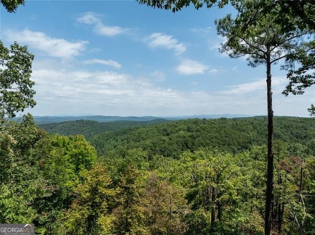 1363 Foxhound Trl NE, Ranger, GA 30734 - view of mountain backdrop with a heavily wooded area